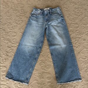 Mother jeans the Downlow Spinner- I Confess